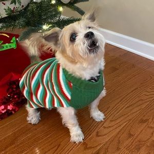 Cute Christmas Dog Sweater